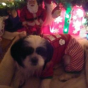 Meet your Posher, Judy